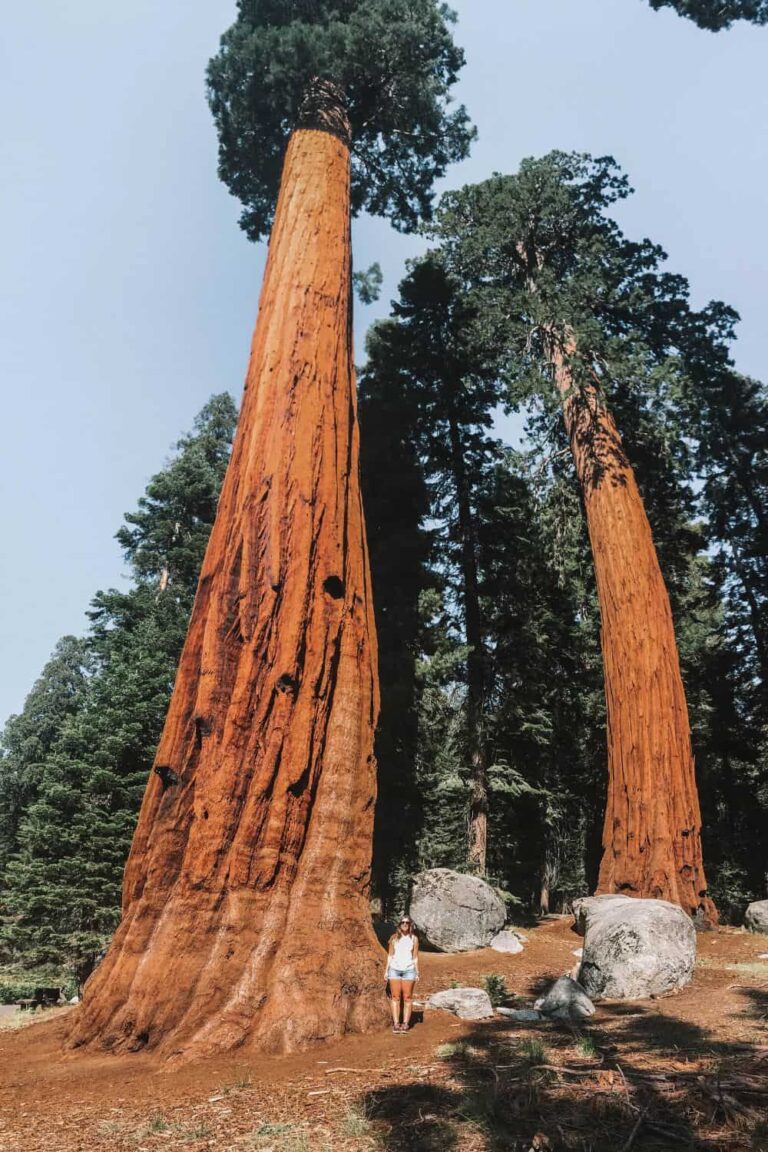 Sequoia National Park In One Day The Best Itinerary For A Stunning