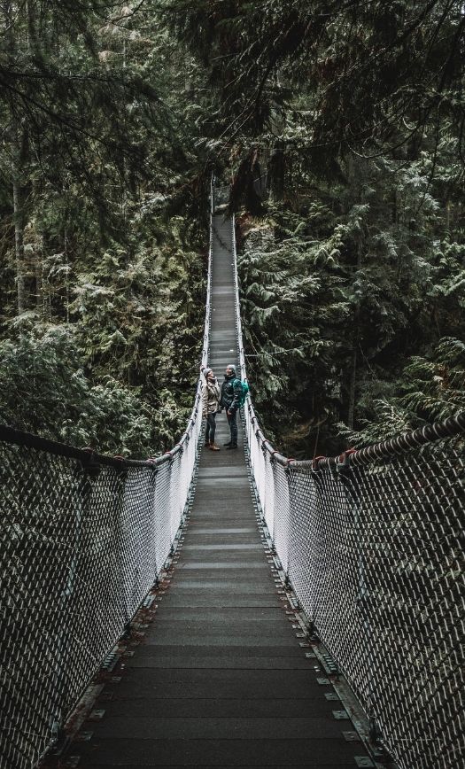 Bridges in Vancouver