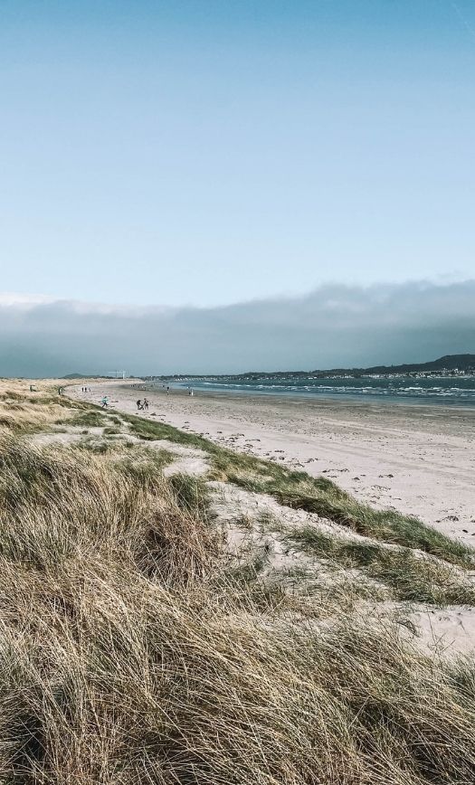 Bull Island Dublin: A Beautiful Nature Reserve you’ll love!