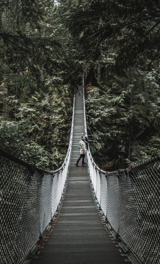 Lynn Canyon Suspension Bridge: The Most Complete Guide (by a Local)