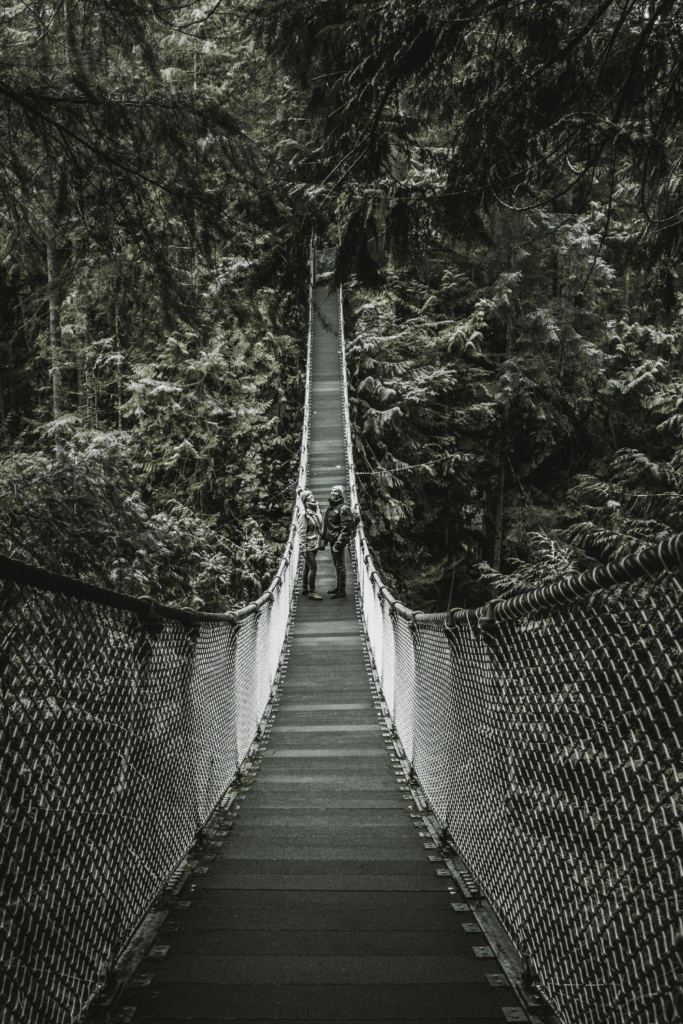 lynn valley suspension bridge