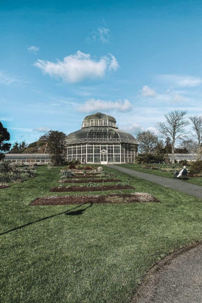 Botanic Gardens in Dublin city in winter
