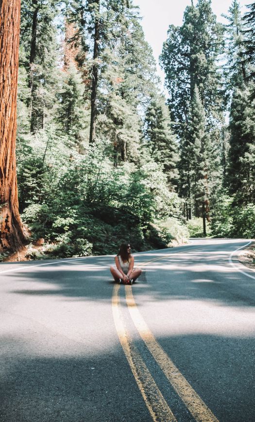 Sequoia National Park In One Day: The Best Itinerary for a Stunning Trip with your Partner