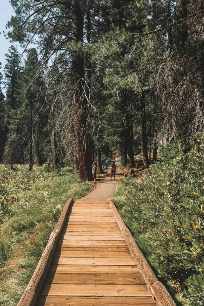 Boardwalk on your Sequoia National Park in one day