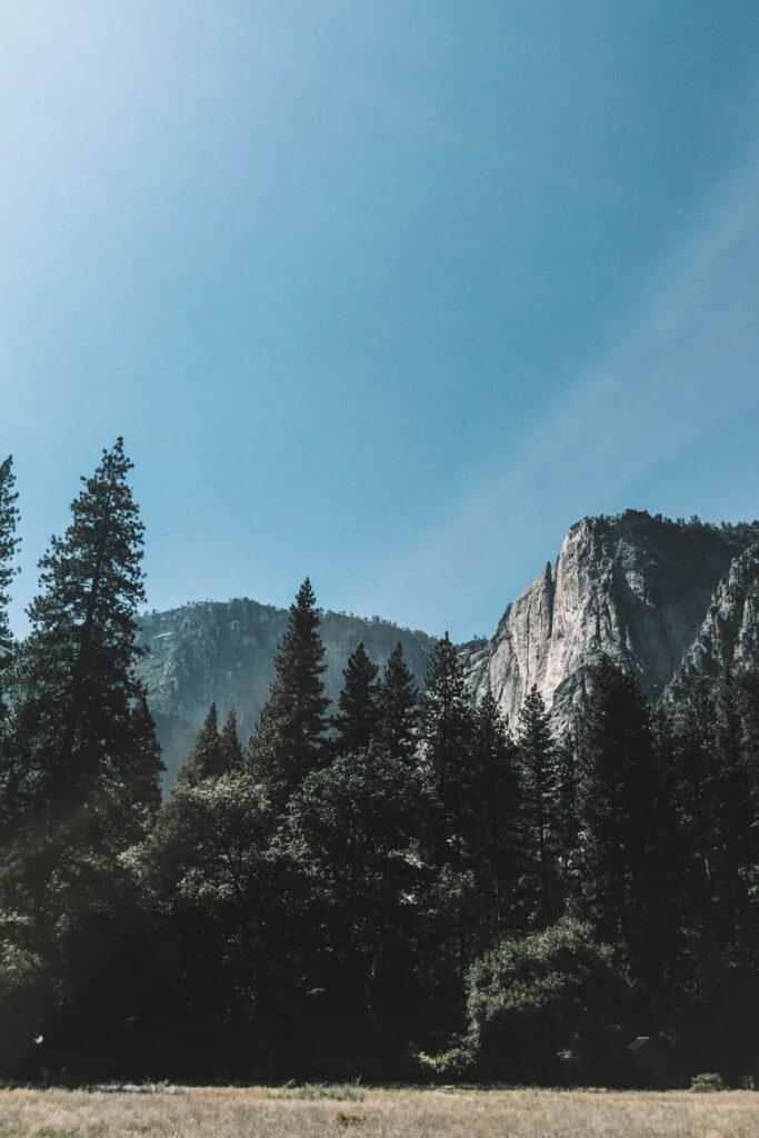 Peaceful Yosemite in the summer