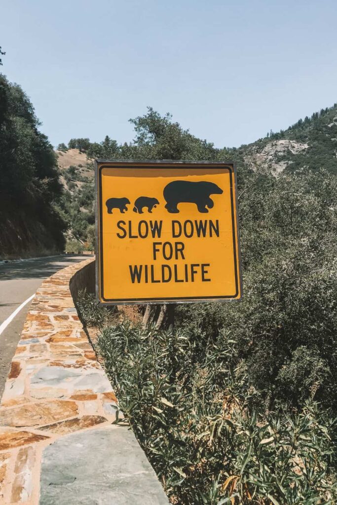 Wildlife sign in Sequoia and Kings Canyon National Parks