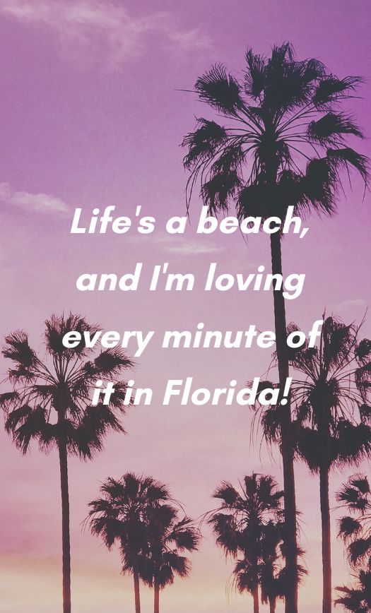 526 Florida Captions and Quotes That You’ll Love