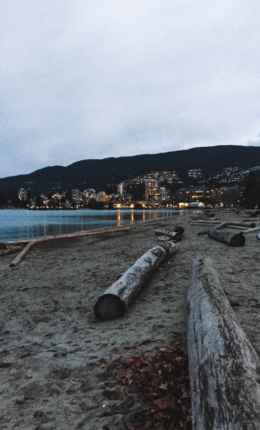 Ambleside Beach in West Vancouver: Everything You Need To Know for the Best Experience (by Two Locals)
