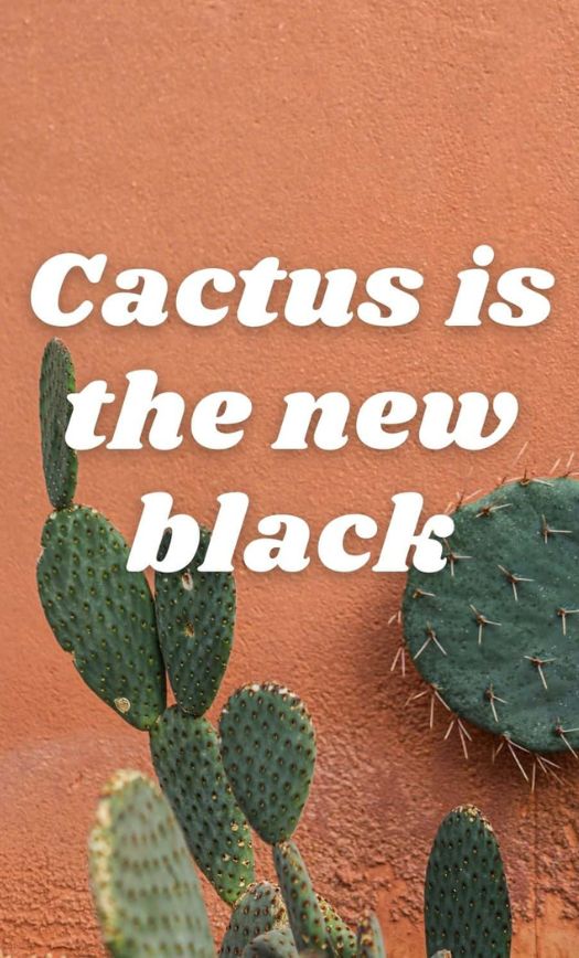 Arizona Instagram Captions