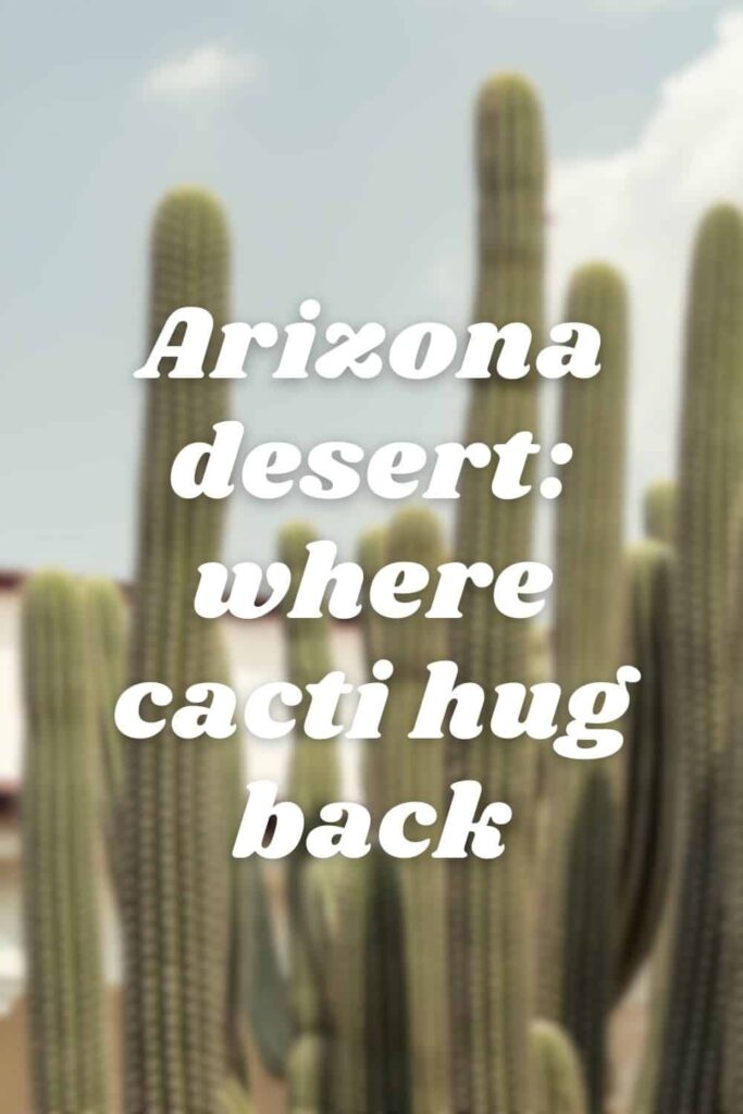 One of the Arizona desert takes