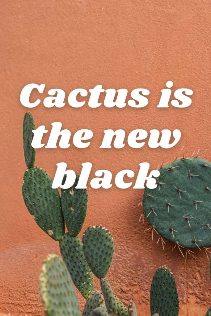 One of the funny Arizona Instagram captions