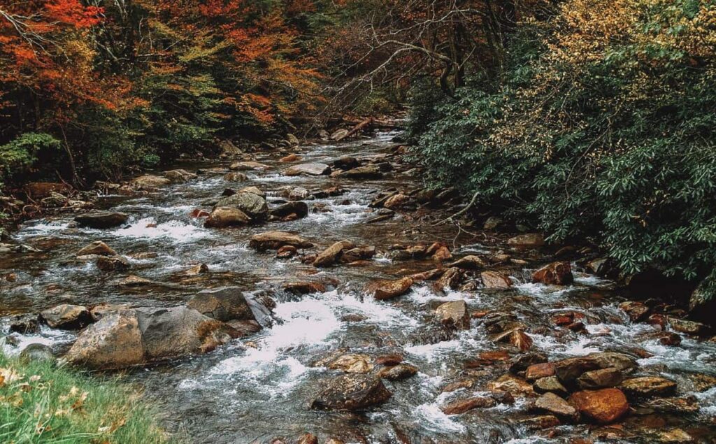 River backdrop at the Great Smoky Mountains for an Asheville elopement