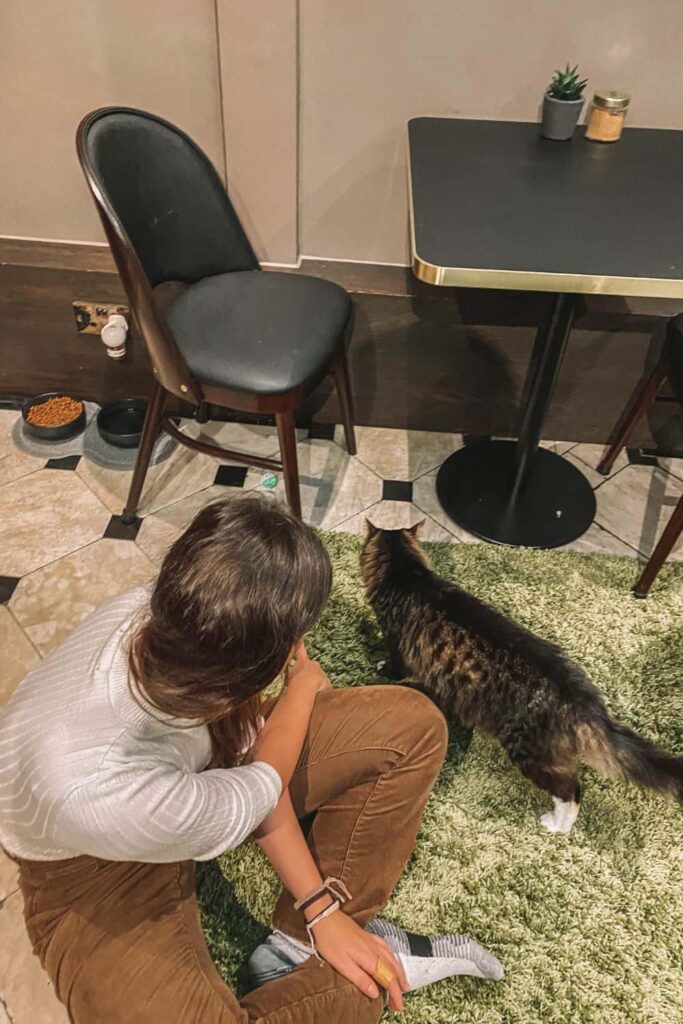 Us chilling with cats at the London cat cafes