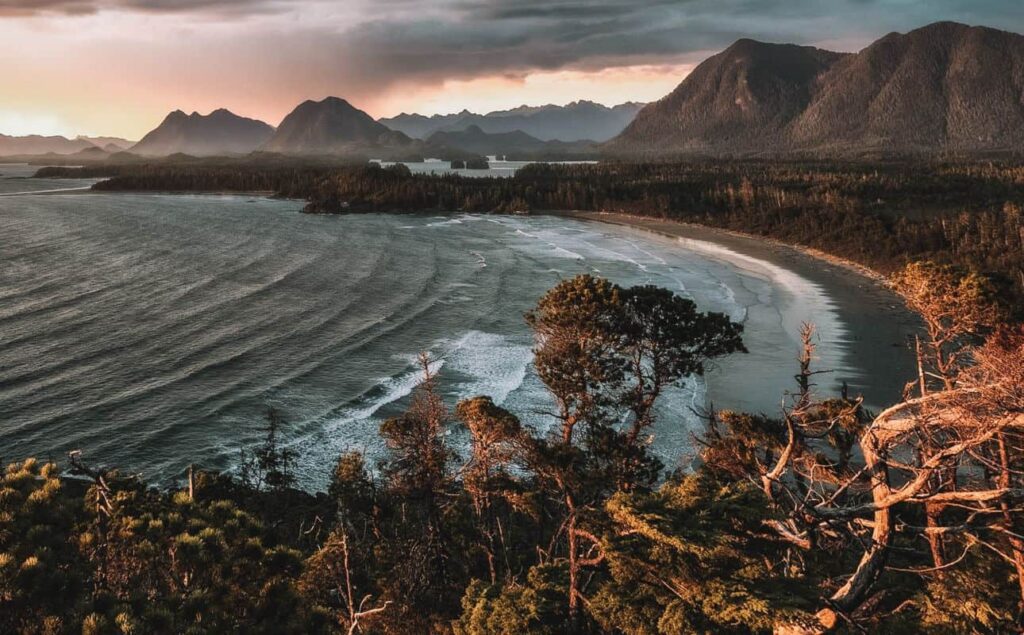 View from Cox Bay Lookout