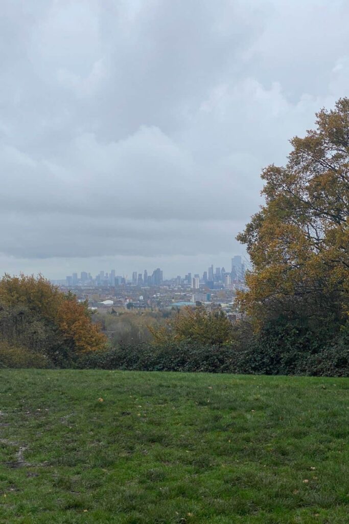 View on London's skyline from Hampstead (winter)
