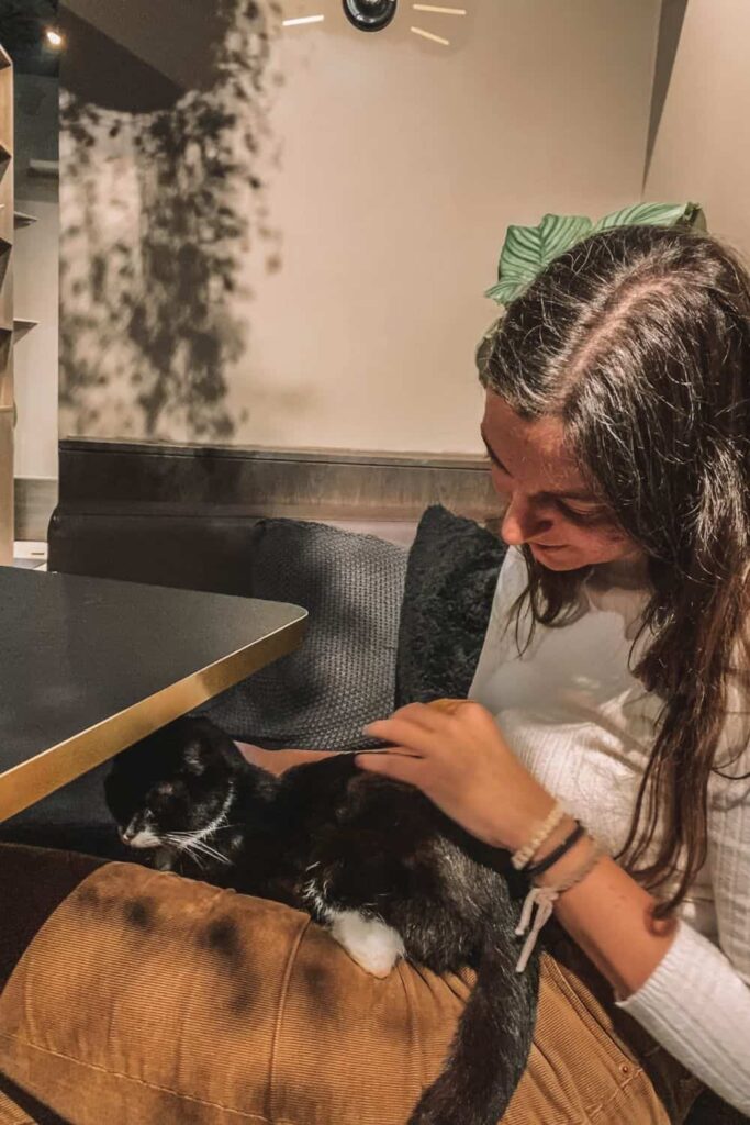 Marie petting a cat at an Enigmatic Cat Cafe in London