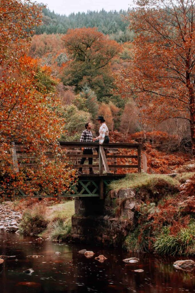 Us in Fall Foliage at Powerscourt Waterfall Park