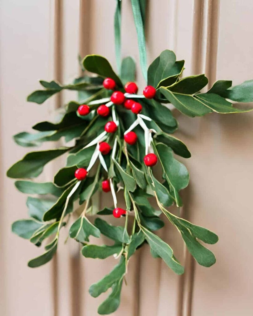 red and green mistletoe
