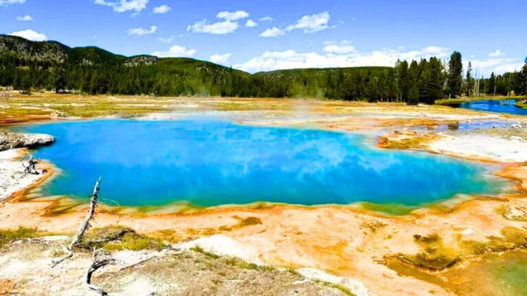 50 Yellowstone National Park Captions for Instagram That You’ll Love