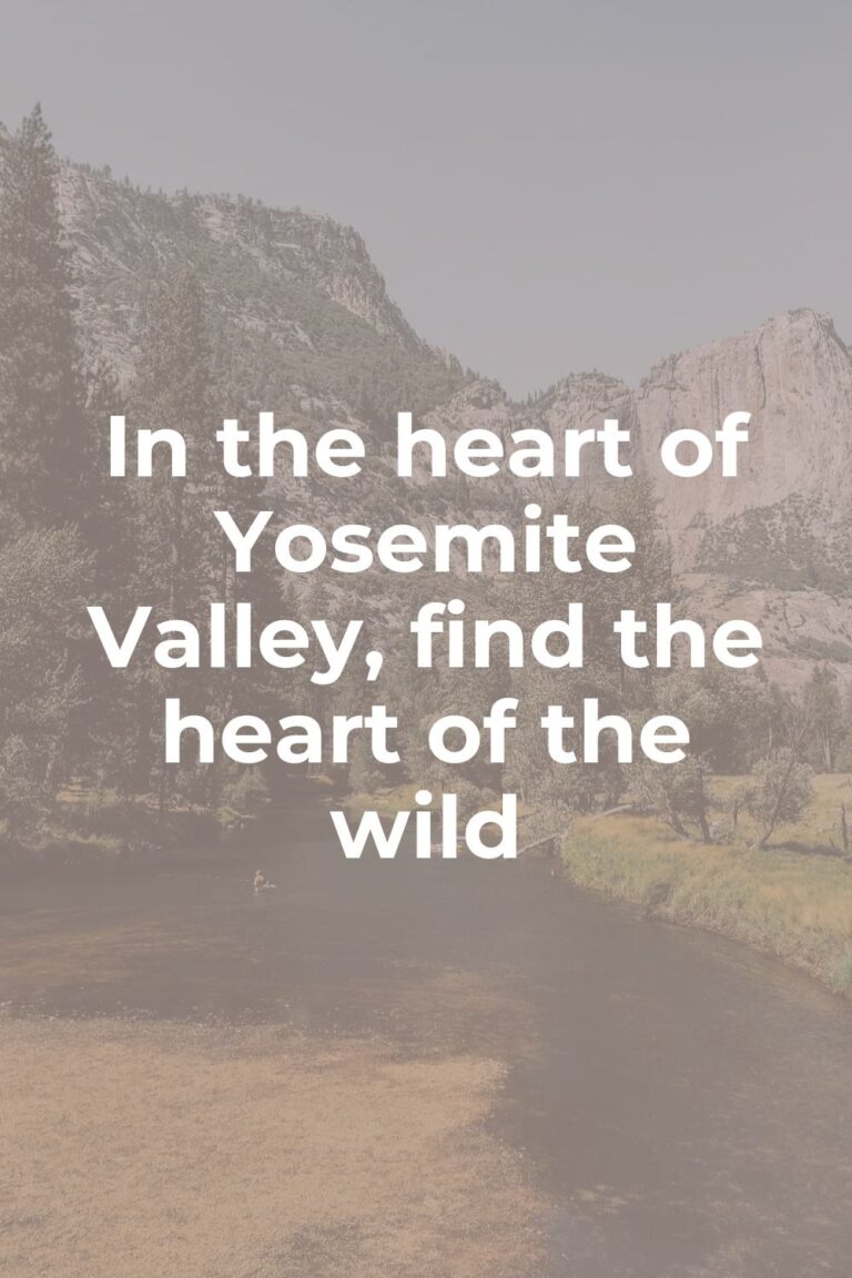 yosemite caption with yosemite valley photo