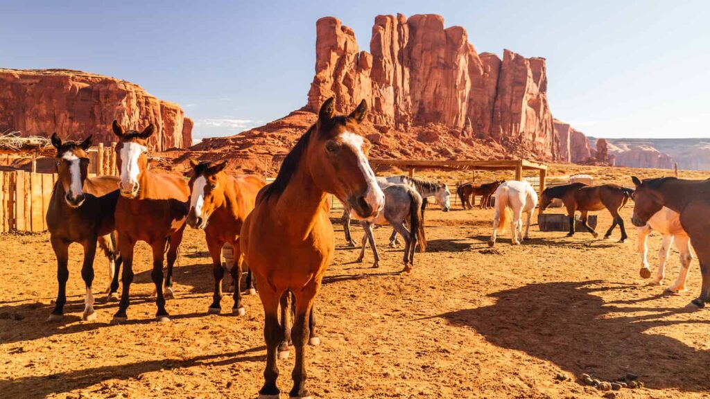 Monument Valley horse back riding