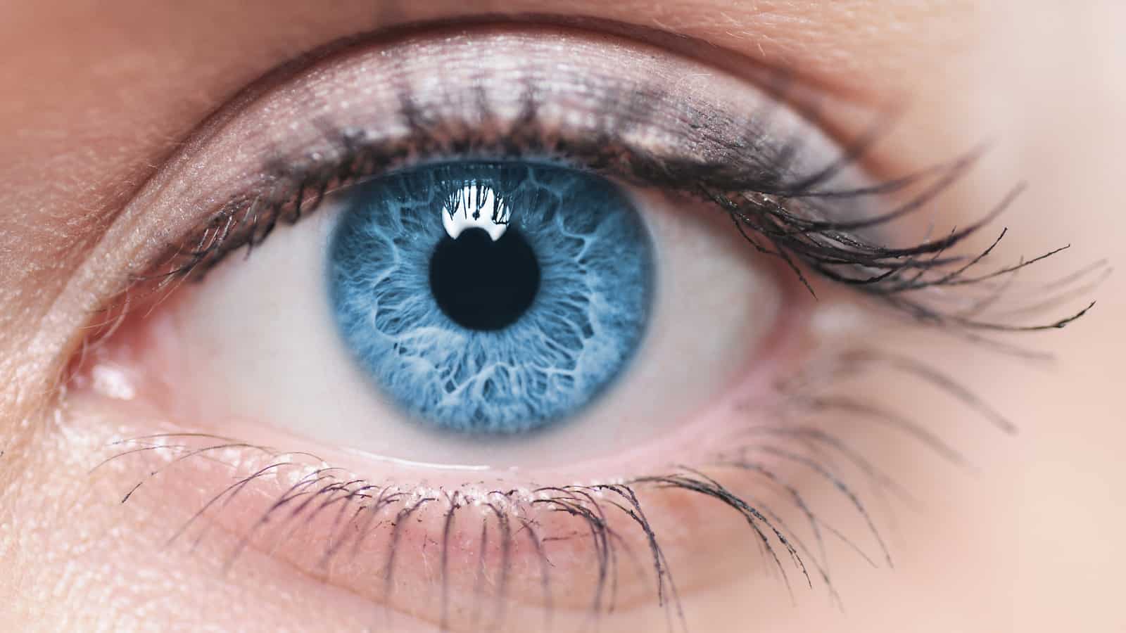 eye