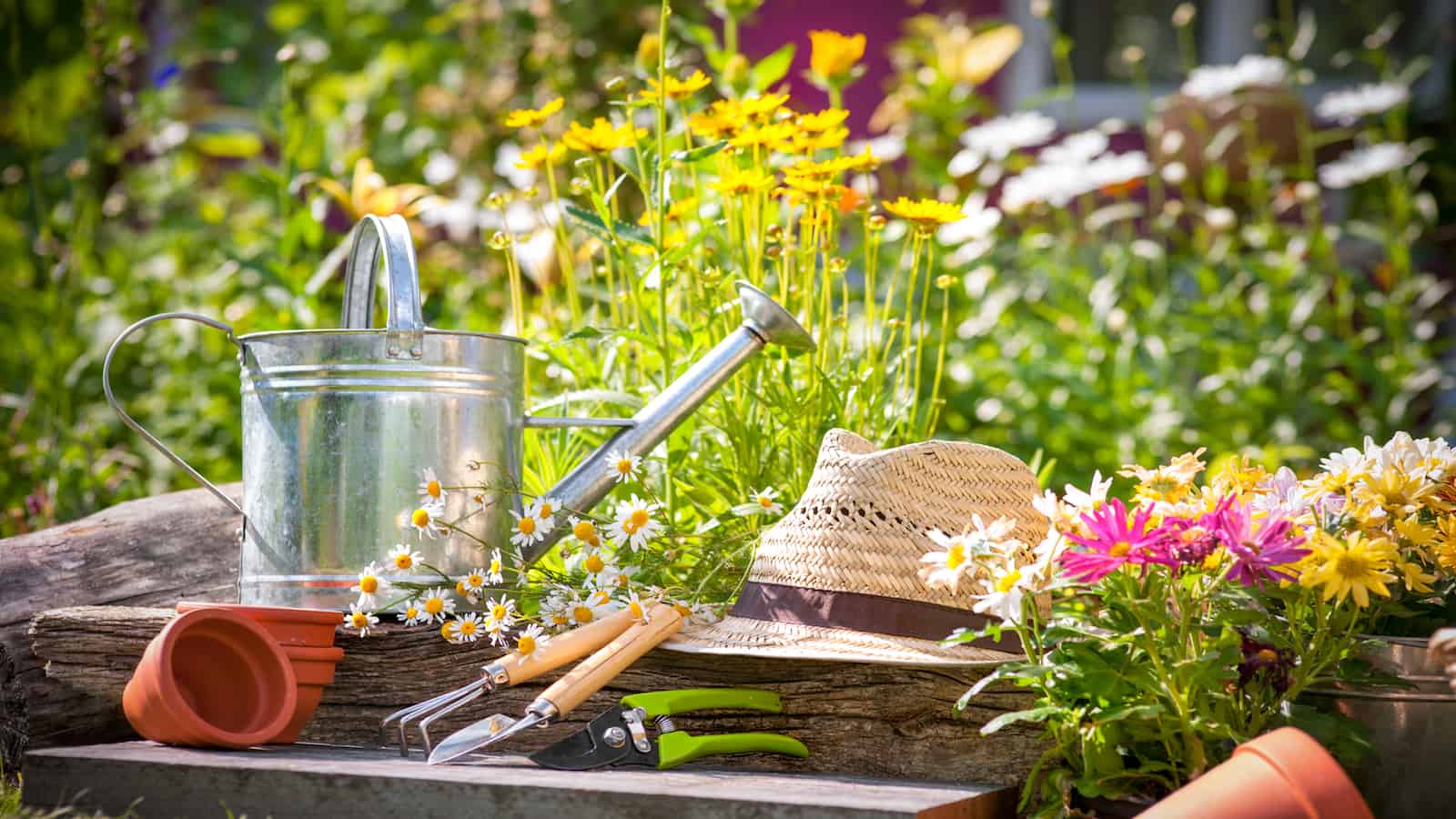 gardening