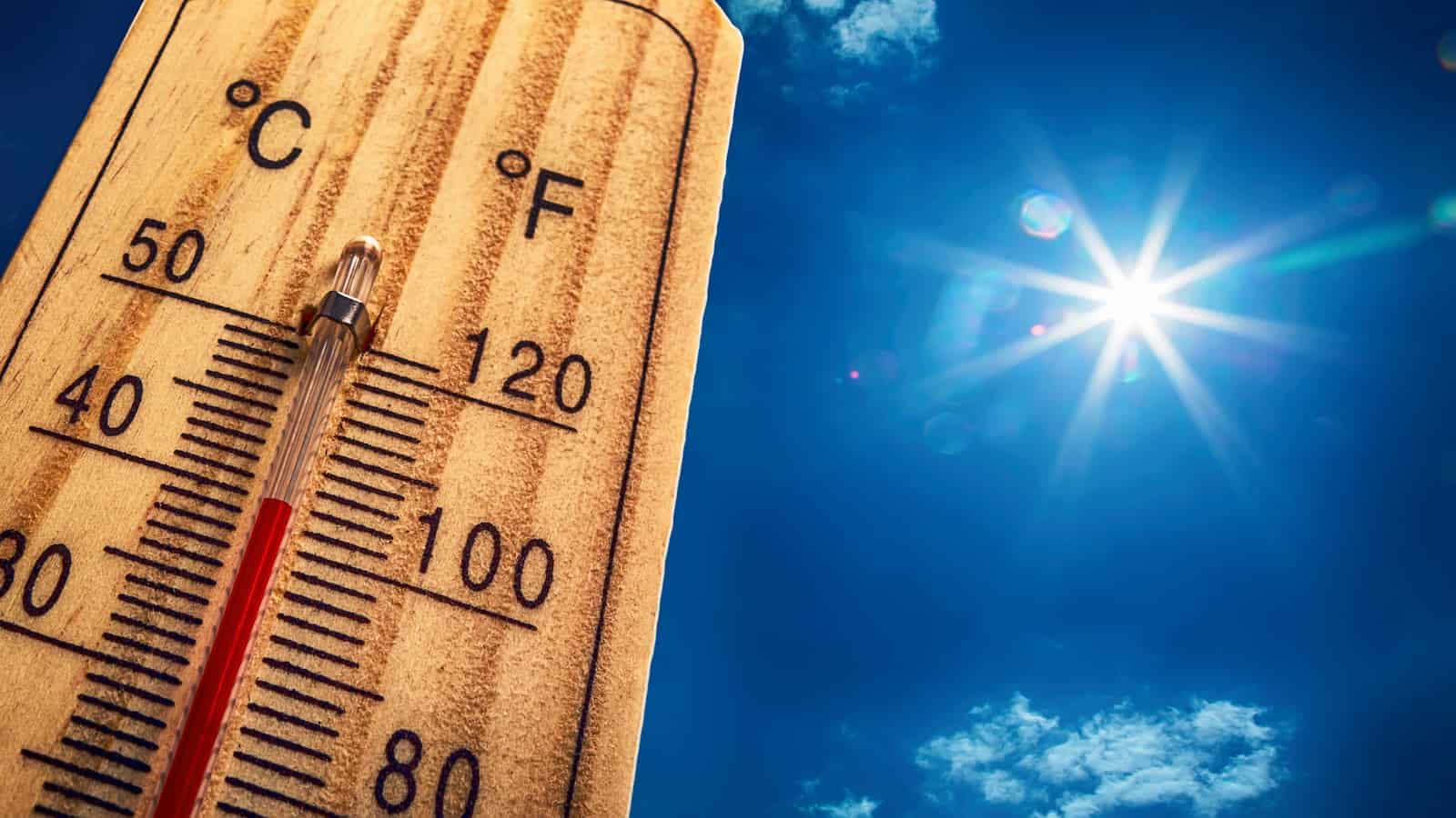 hot weather_2