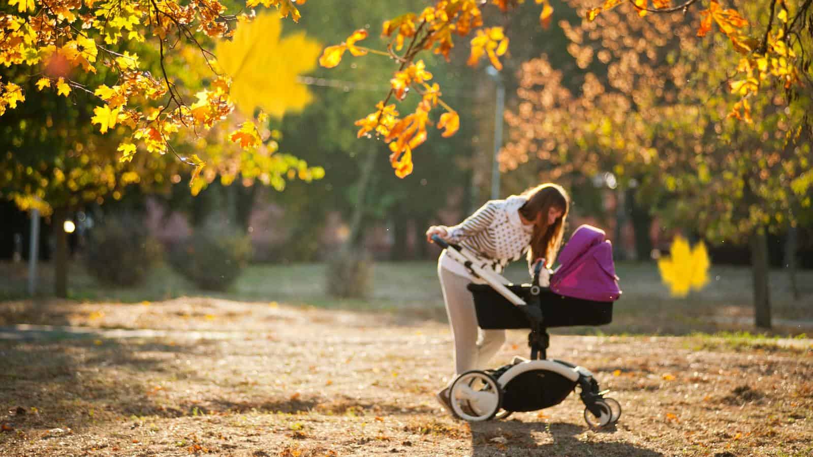 stroller during fall pexels-oleksandr-p-1007775