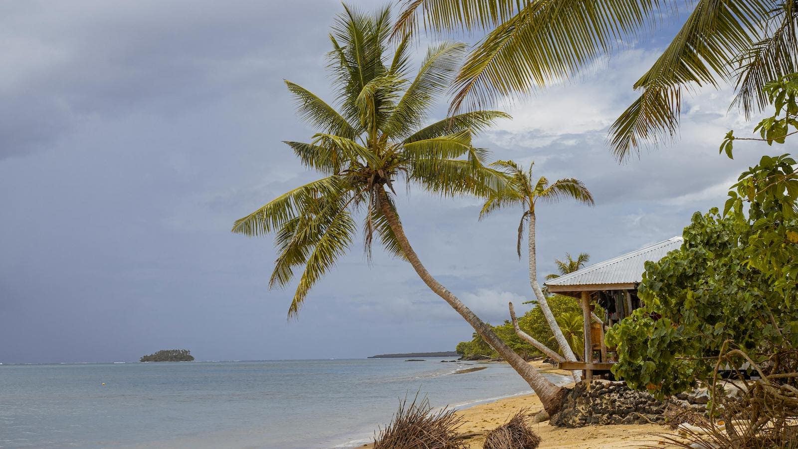 American Samoa pexels-eric-seddon-17131058