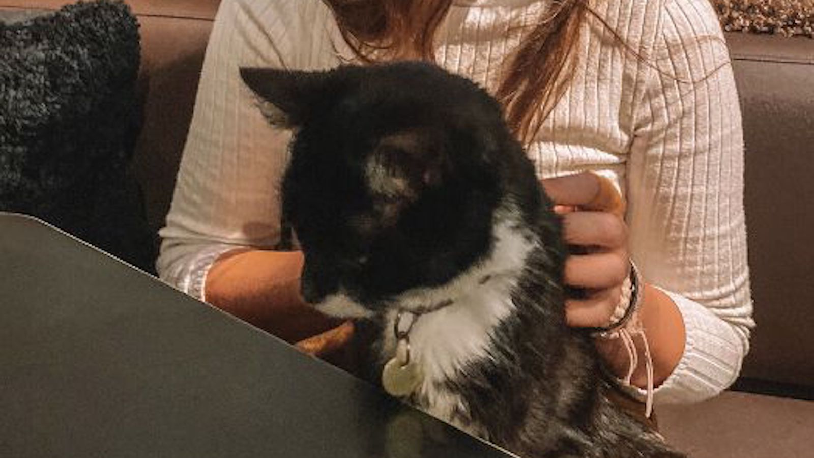 cat cafe london
