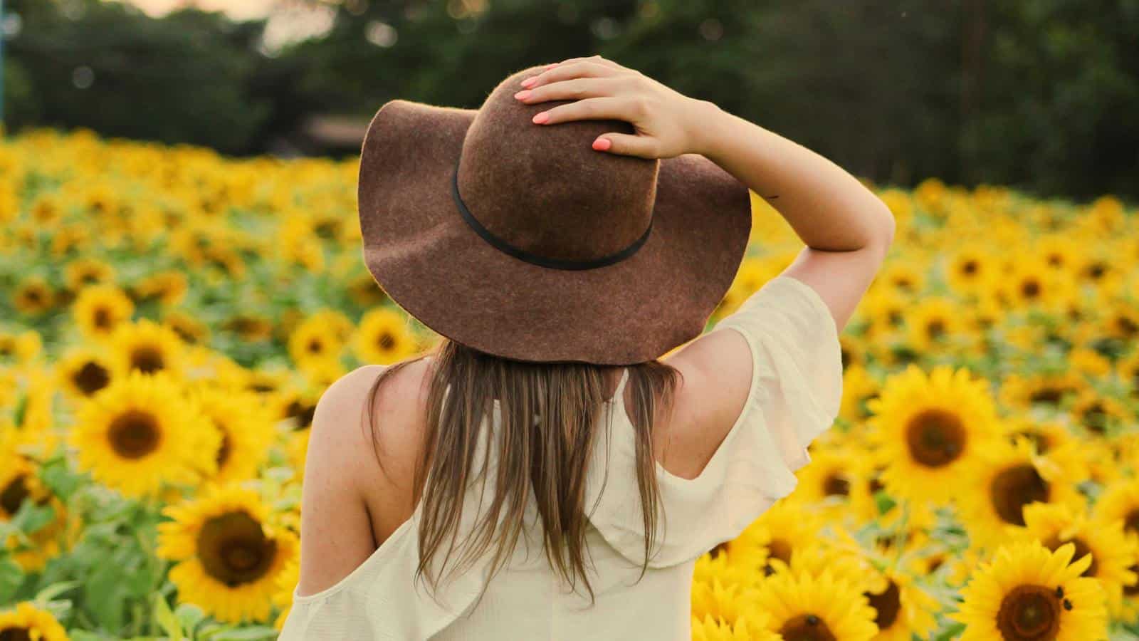 hat woman sunflower field summer pexels-noelle-otto-906002