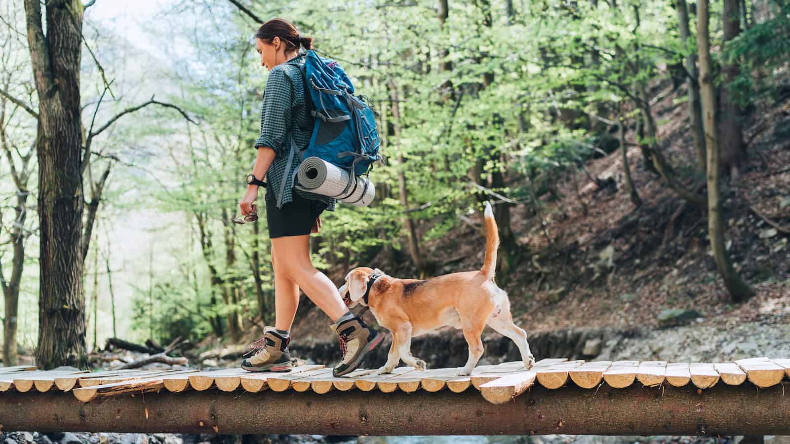 hiking with dog shutterstock_1971976841
