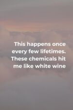 170+ Most romantic Taylor Swift's Lyrics To Send Your Partner