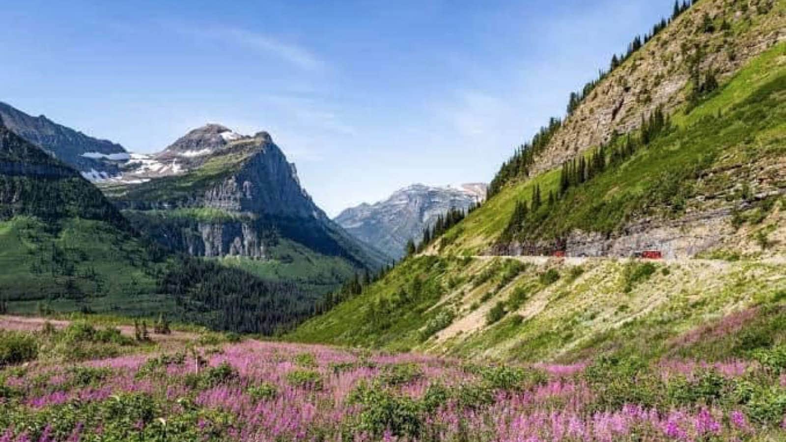 Going to the sun road Montana road tripresized