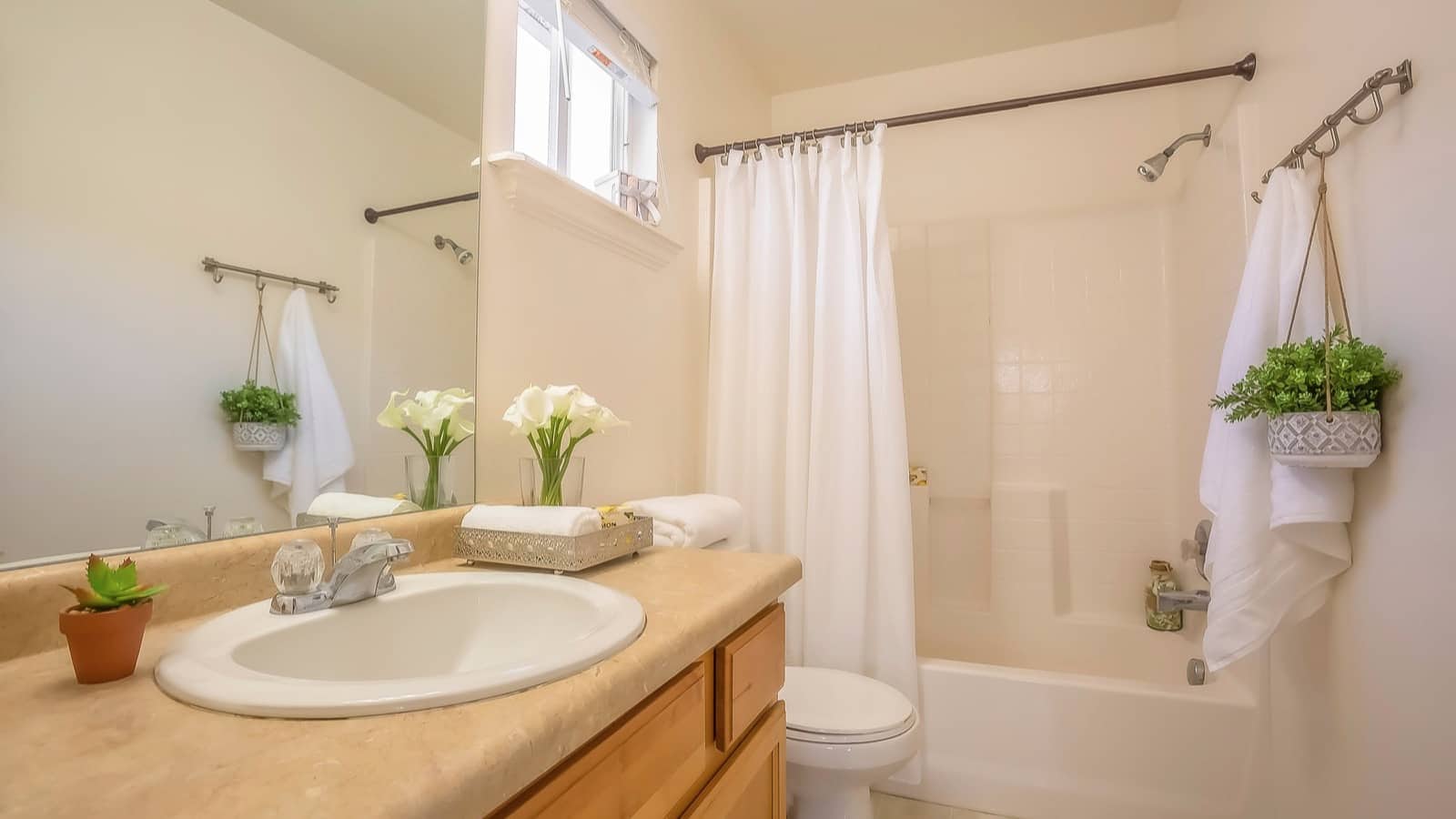 bathroom curtain hanging plants shutterstock_1490546132resized