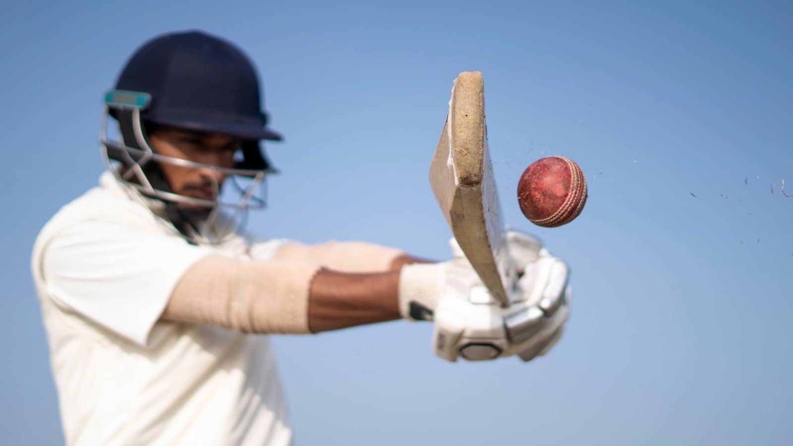 cricket shutterstock_2115279632resized