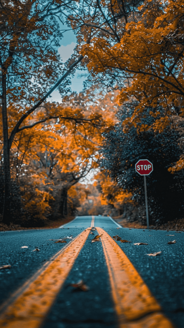 40+ Stunning And Dreamy Fall Phone Wallpapers