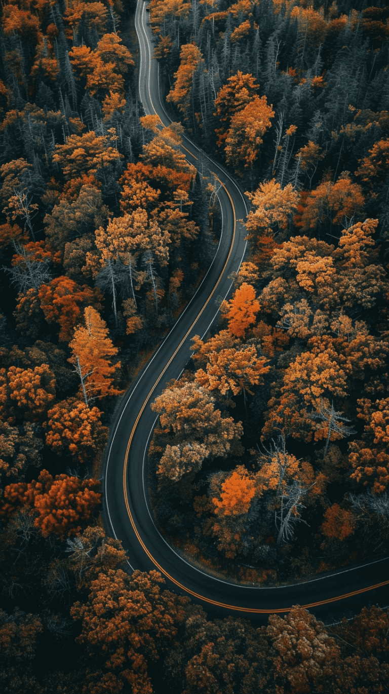 40+ Stunning And Dreamy Fall Phone Wallpapers