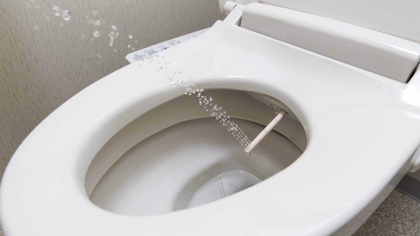 toilet cleaning