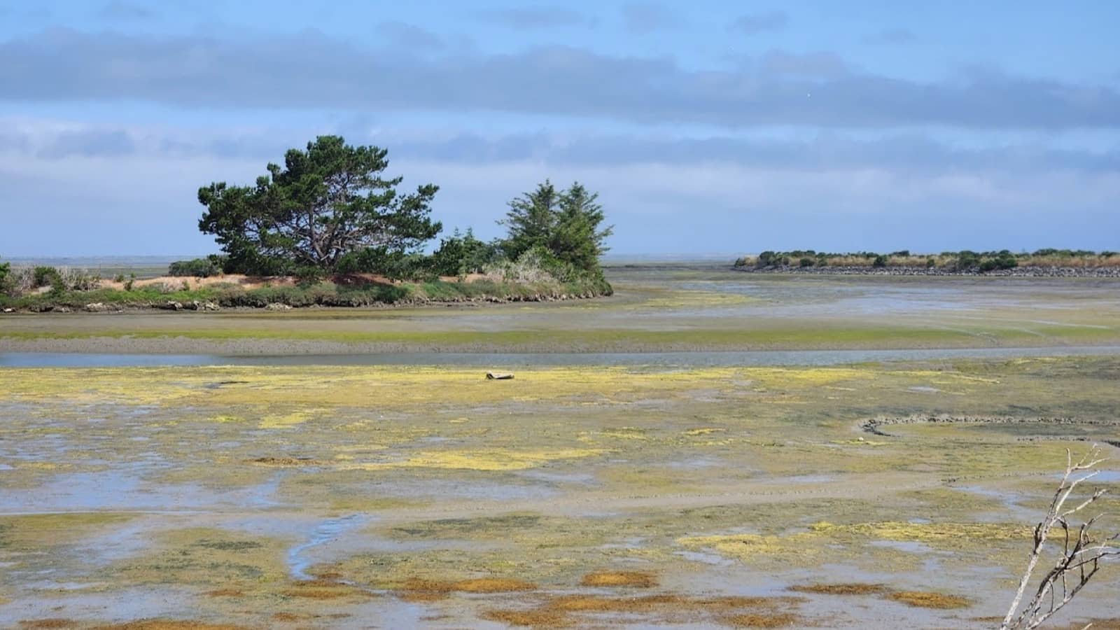 Humboldt Bay National Wildlife Refugeresized