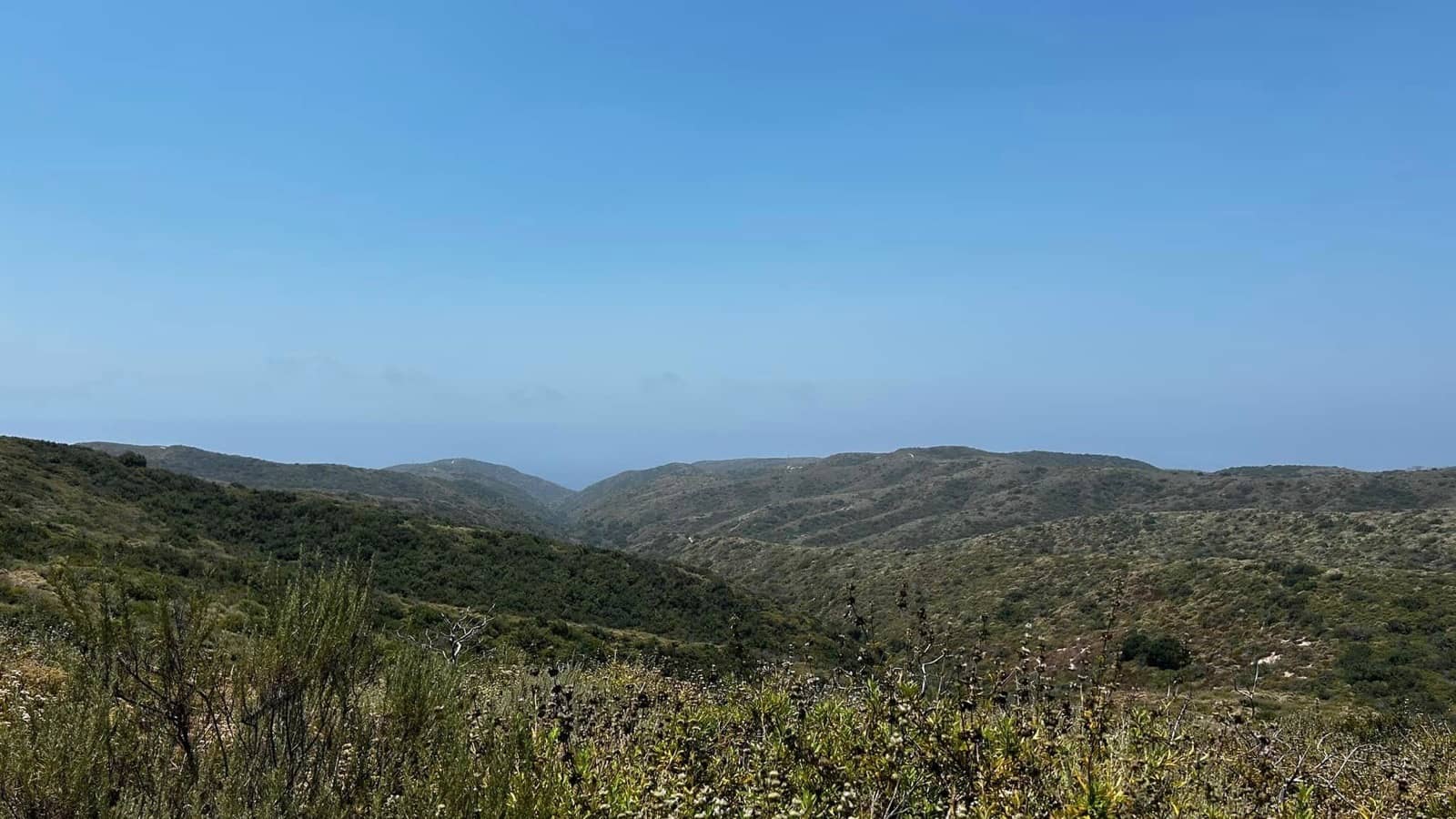 Laguna Coast Wilderness Parkresized