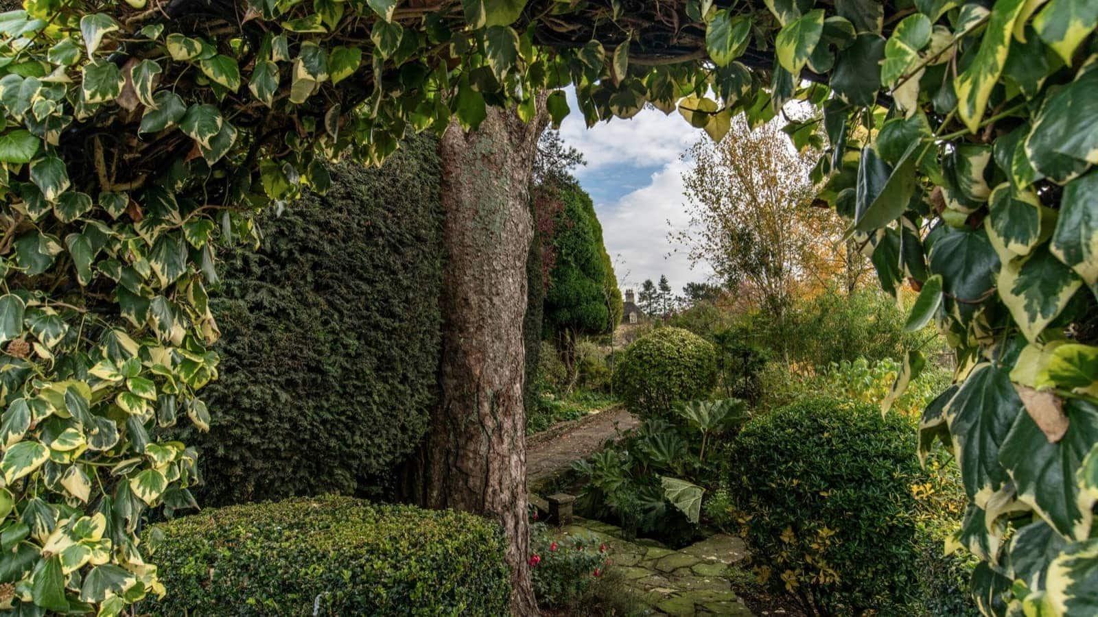 cotswolds garden uk pexels-samuelsweet-5972818resized