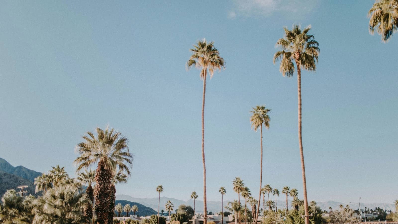 palm springs california pexels-leah-newhouse-50725-3935703resized