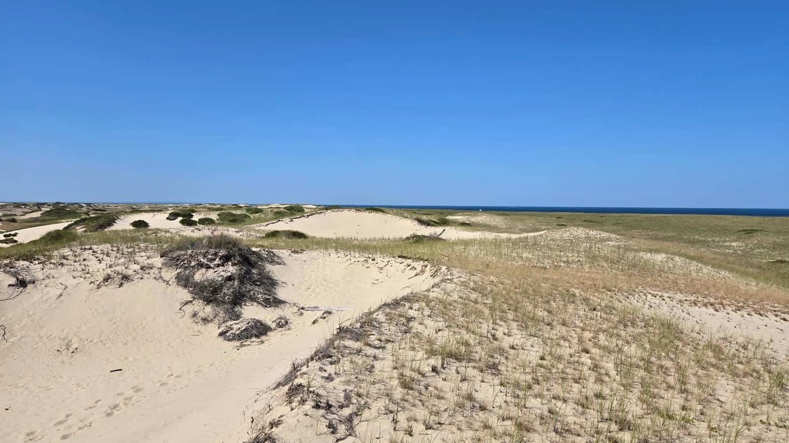 Cape Cod National Seashore, Massachusetts usaresized