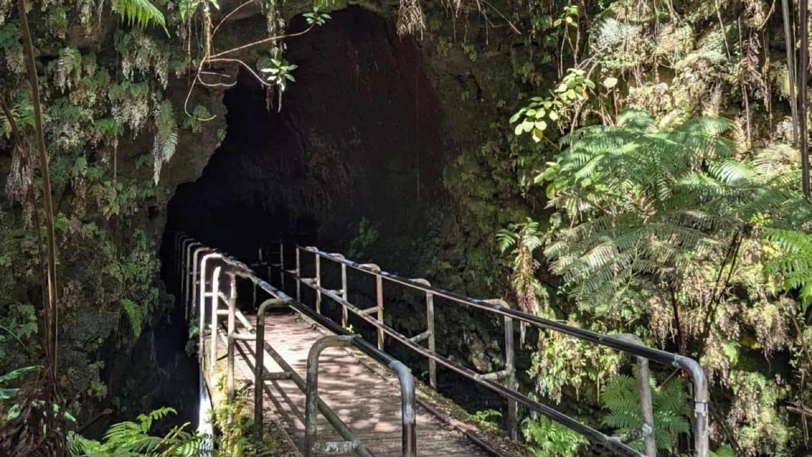 hawaii volcanoes national park lava tunnel big island usaresized