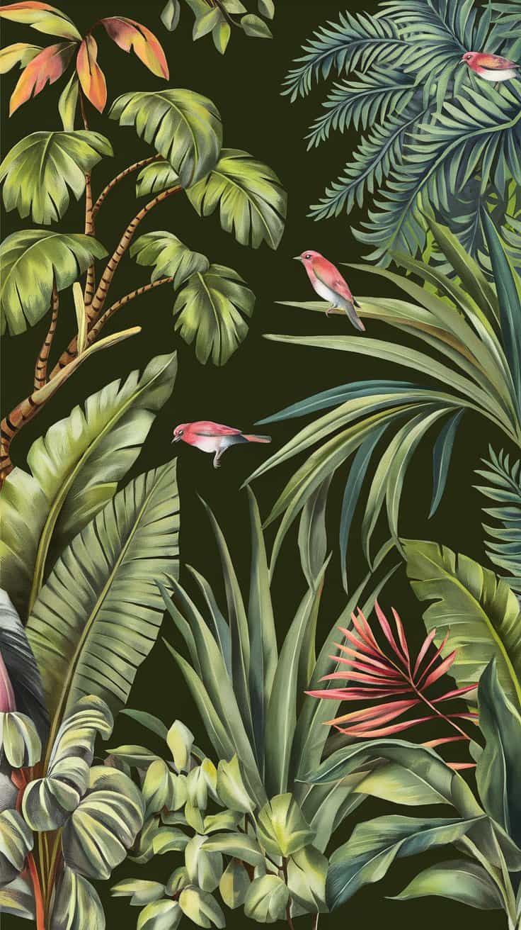 28 Tropical Phone Wallpapers