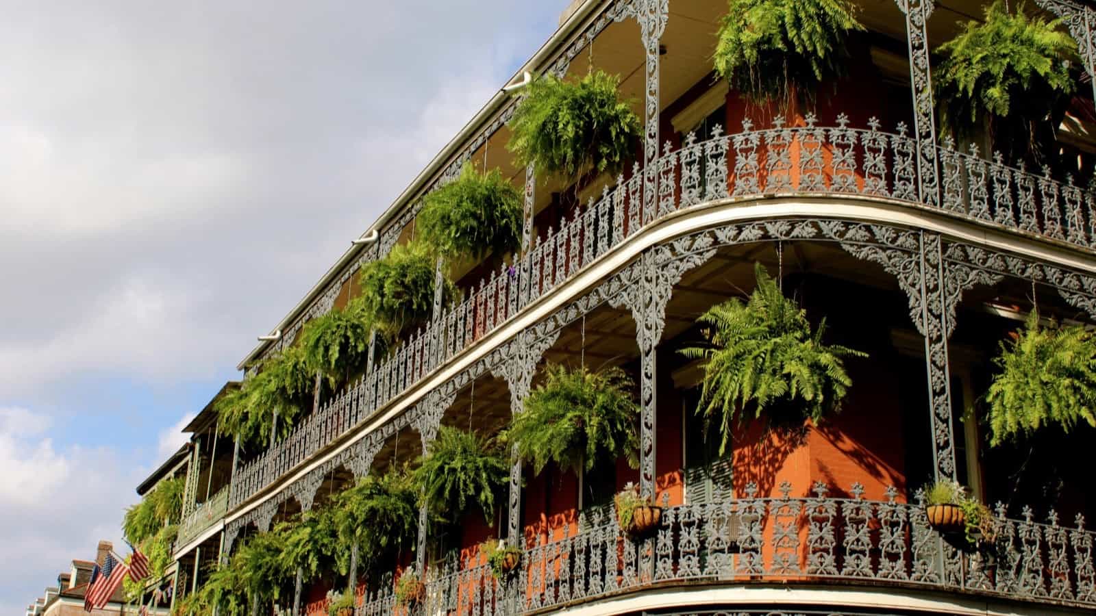 New Orleans pexels-visualsbysade-1042177resized