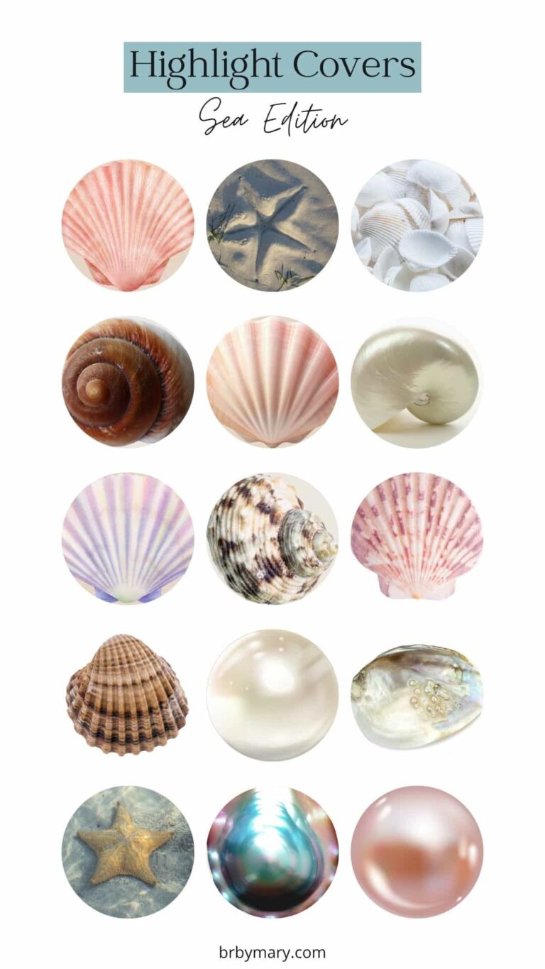 Sea Edition Highlight Covers For Instagram Stories